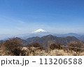 丹沢蛭ヶ岳山頂から見る富士山 113206588