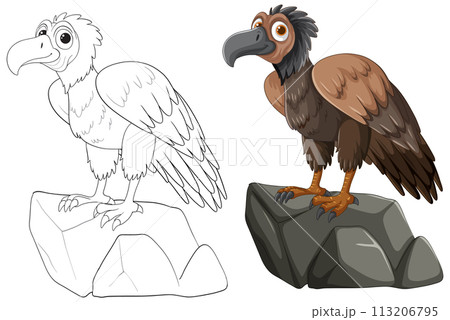 Perched Vultures: From Sketch to Illustration 113206795