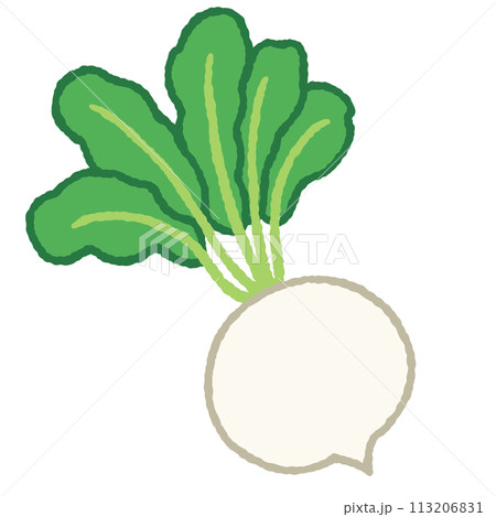 シンプルなカブのイラスト シンプルなカブのイラスト 113206831