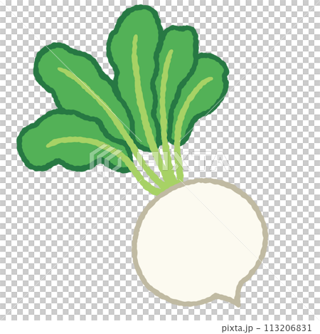 シンプルなカブのイラスト シンプルなカブのイラスト 113206831