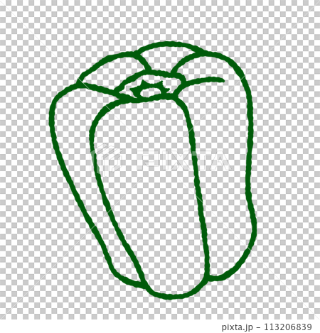 Simple green pepper illustration 113206839