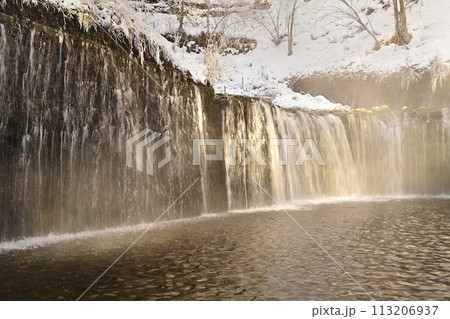 厳冬の白糸の滝（軽井沢町） 113206937
