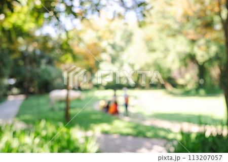 Defocused or blur with bokeh background of garden trees in sunny day 113207057