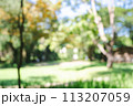 Defocused or blur with bokeh background of garden trees in sunny day 113207059