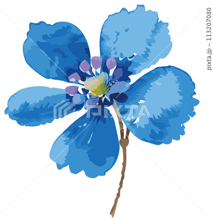 手書き風の青い花のイラスト 手書き風の青い花のイラスト 113207080