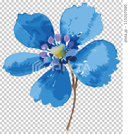 手繪藍花插畫 113207080