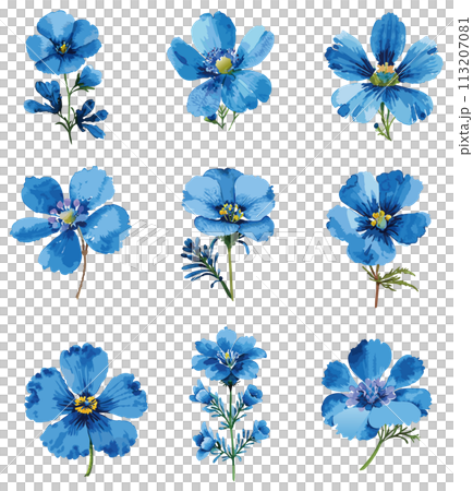 手繪藍花插畫集 手繪藍花插畫集 113207081