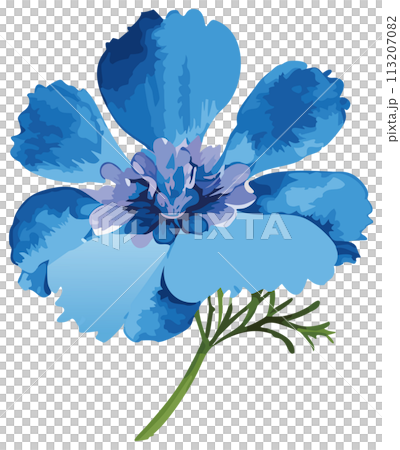 手繪藍花插畫 113207082