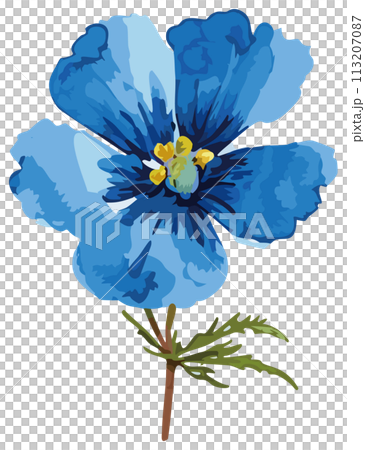 Hand-drawn blue flower illustration 113207087