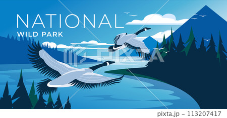 Flying Canadian Geese over forest mountains. Lake landscape with calm water. Blue and green. National wildlife park, tourism and travel advertising. Vector illustration 113207417