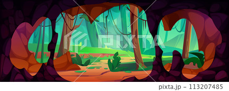 View on jungle from inside cave 113207485