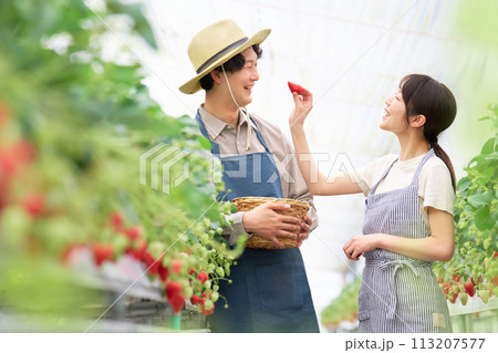 仲良くイチゴを試食する若いカップル 113207577