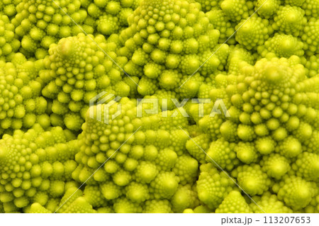 ロマネスコクローズアップ 113207653