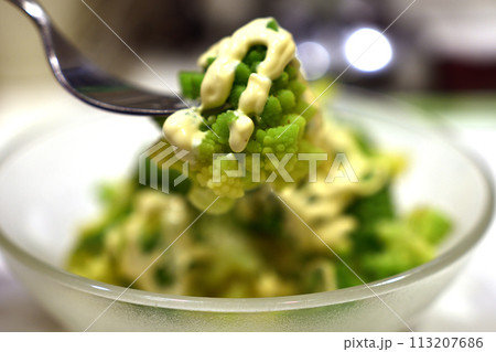 ロマネスコのサラダ ロマネスコのサラダ 113207686