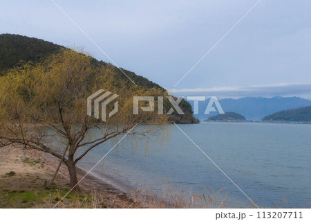 静かな湖 静かな湖 （静かな湖畔の写真素材 [FYI00319357] | ストック
