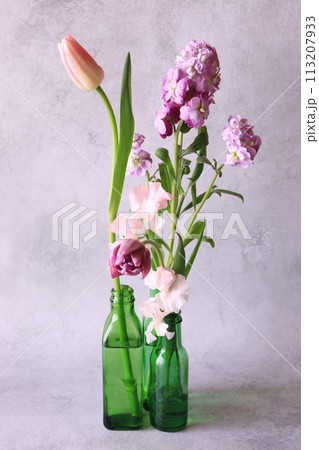 春の花のアレンジ 113207933