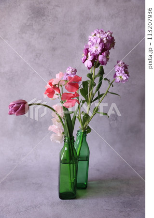 春の花のアレンジ 113207936