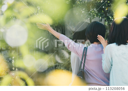 a forty-something woman 113208056