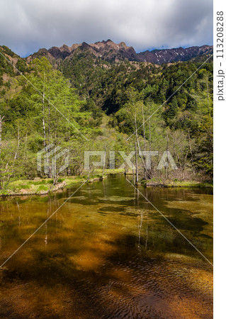 Brown pond surrounded by lush forest in front of steep, high mountain peaks (Kamikochi, Japan) Brown pond surrounded by lush forest in front of steep, high mountain peaks (Kamikochi, Japan) 113208288