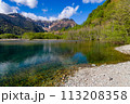 Lake and forest in front of towering, snow-capped mountains with a blue sky 113208358