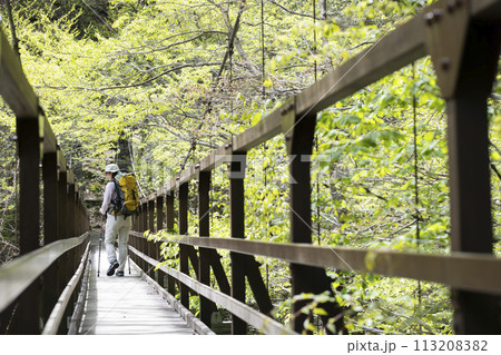 新緑のハイキングを楽しむ女性 113208382