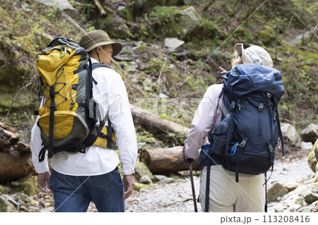 ハイキングを楽しむカップル 113208416