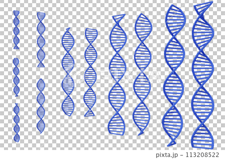 Image of double helix of DNA Image of double helix of DNA 113208522