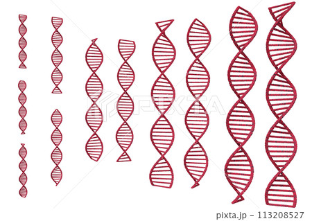 DNAの二重螺旋のイメージ 113208527