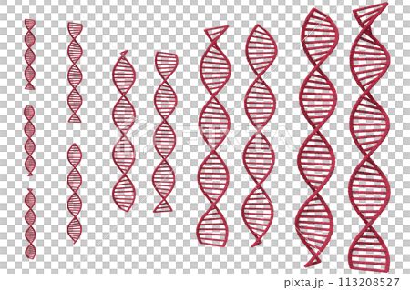 Image of double helix of DNA 113208527