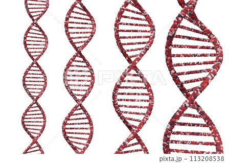 DNAの二重螺旋のイメージ 113208538