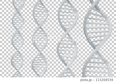 DNAの二重螺旋のイメージ 113208539