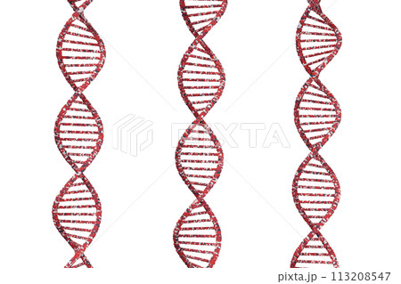 DNAの二重螺旋のイメージ 113208547