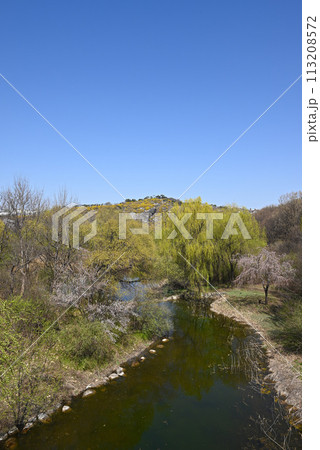 ソウルの森公園と鷹峰山（春）【ソウル特別市城東区】 113208572