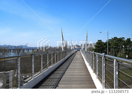 ソウルの森公園内の展望橋【ソウル特別市城東区】 113208573