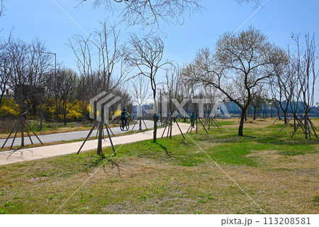 ソウルの森公園・漢江自転車道路公園【ソウル特別市城東区】 ソウルの森公園・漢江自転車道路公園【ソウル特別市城東区】 113208581