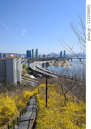 月見公園から見た城東区の町並み【ソウル特別市】 月見公園から見た城東区の町並み【ソウル特別市】 113208601