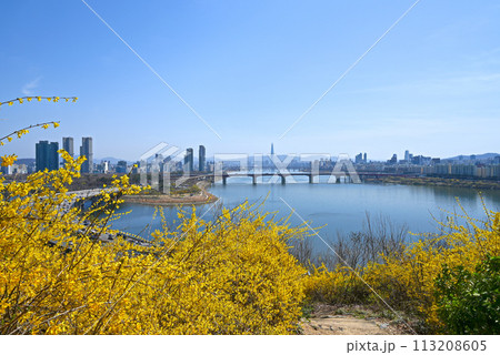 月見公園から見た漢江の風景【ソウル特別市】 月見公園から見た漢江の風景【ソウル特別市】 113208605