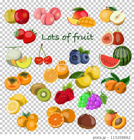 Illustration material of set of fruits 113208662