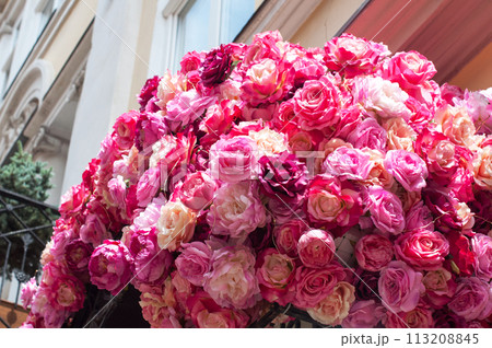 Beautiful flowers on buildings in town Beautiful flowers on buildings in town 113208845