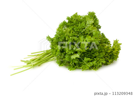 Fresh green parsley for salad isolated on the white Fresh green parsley for salad isolated on the white 113209348