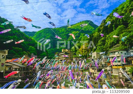 熊本県　杖立温泉鯉のぼり祭り 113209500