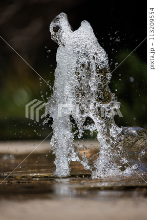 噴水から吹き出る水が見せる瞬間の形 噴水から吹き出る水が見せる瞬間の形 113209554