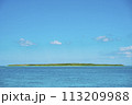 竹富島 113209988
