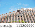 赤瓦のシーサー 113209990