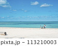 コンドイ浜 113210003