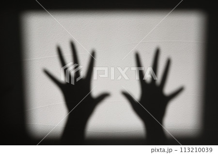 白い壁を利用した影絵 113210039