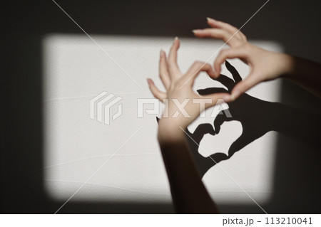 白い影に映し出されるハートの影絵 113210041