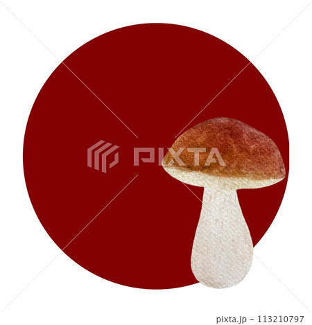 Watercolor porcini mushroom composition isolated on white 113210797