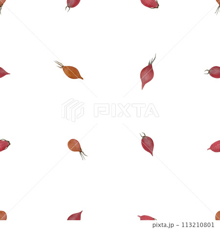 Rose-hip watercolor seamless pattern isolated on white 113210801