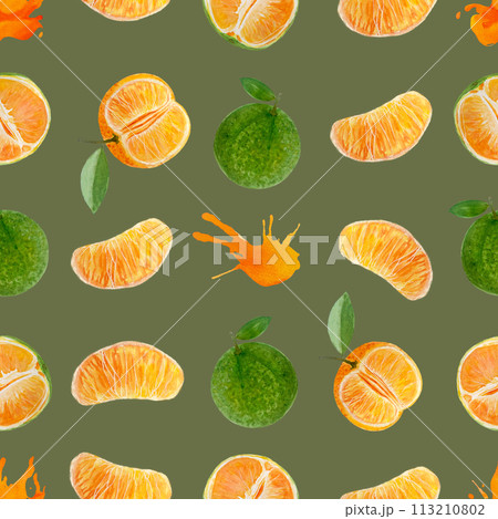 Green and orange tangerine and color splash watercolor seamless pattern on olive green 113210802